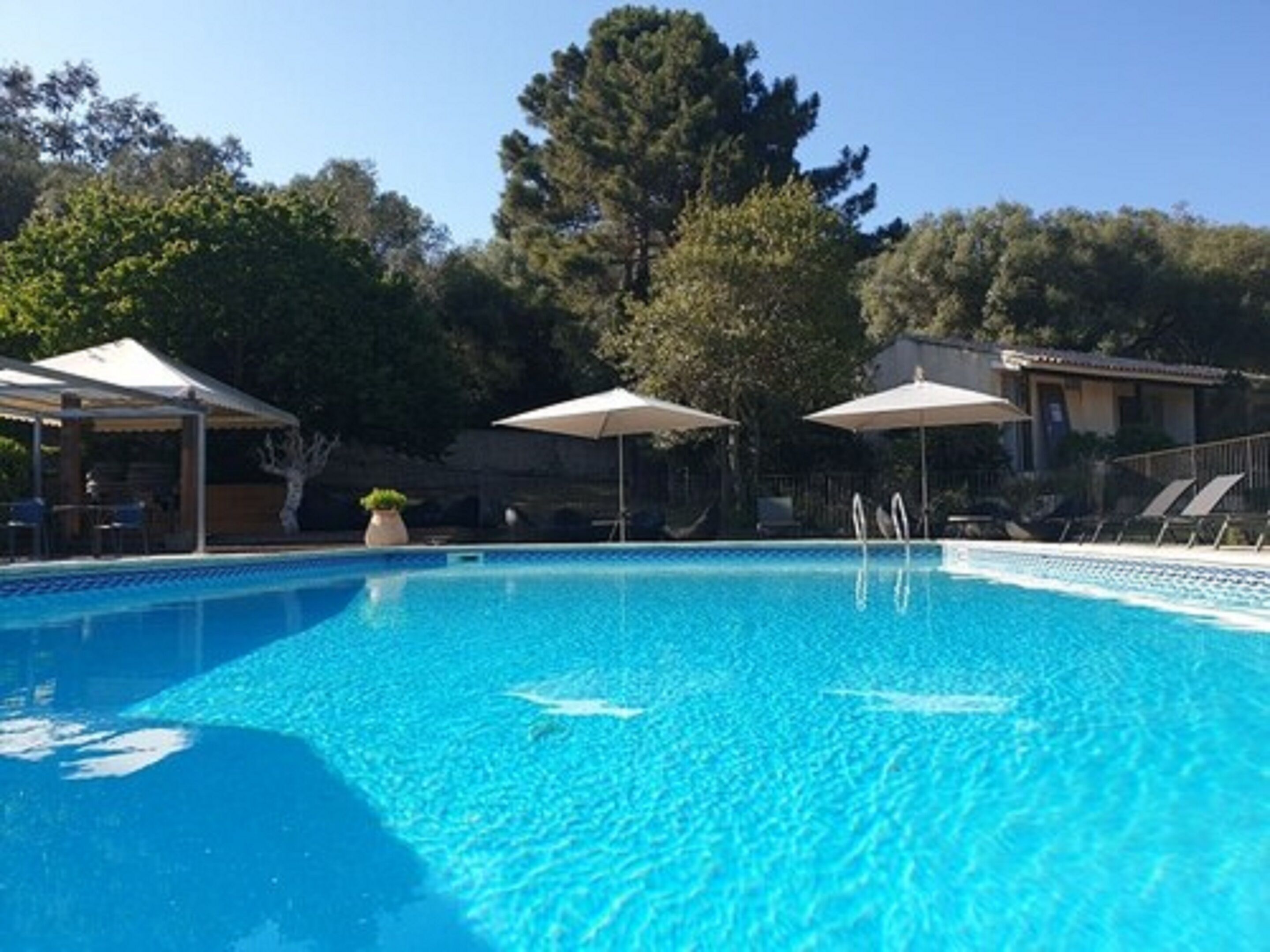 A clear blue swimming pool with lounge chairs and umbrellas, surrounded by trees and a building.