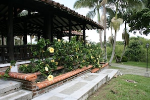 Vista desde la habitación