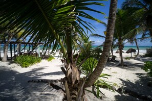 Standardhytte - 2 dobbeltsenge - havudsigt | Strand-/havudsigt