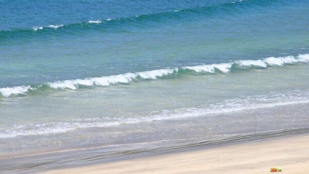 A beach with waves, a sandy shore, and a tree in the foreground. - Minshuku Urashima (Minamiizu)