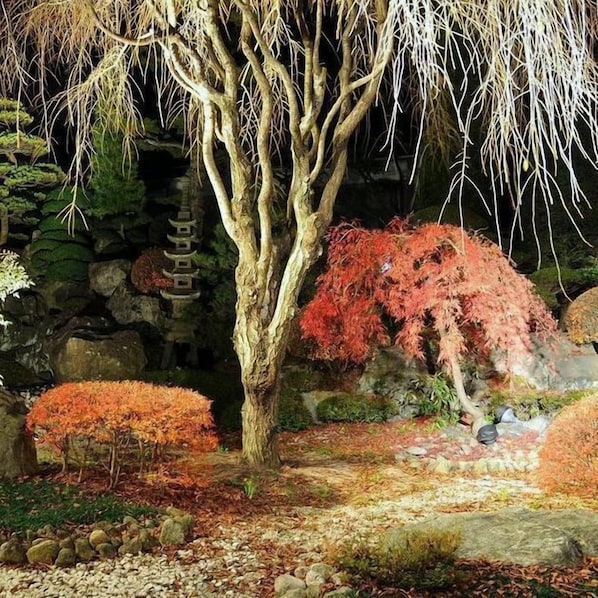 Un mur de pierre, avec un arbre au premier plan et un arbre aux feuilles rouges en arrière-plan.