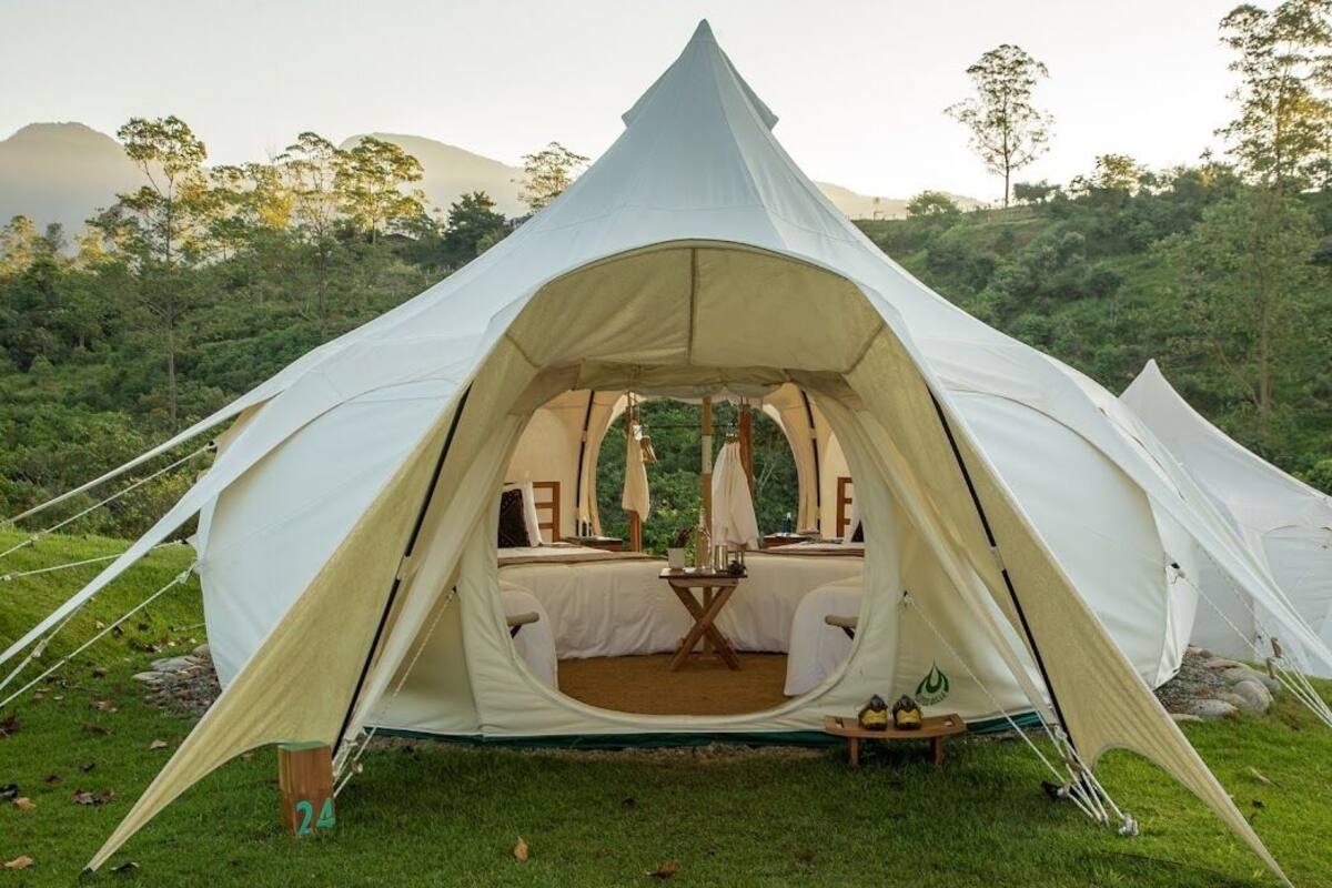 Ein kuppelförmiges Zelt mit einem Bett im Inneren, umgeben von einer grünen Wiese und Bäumen.