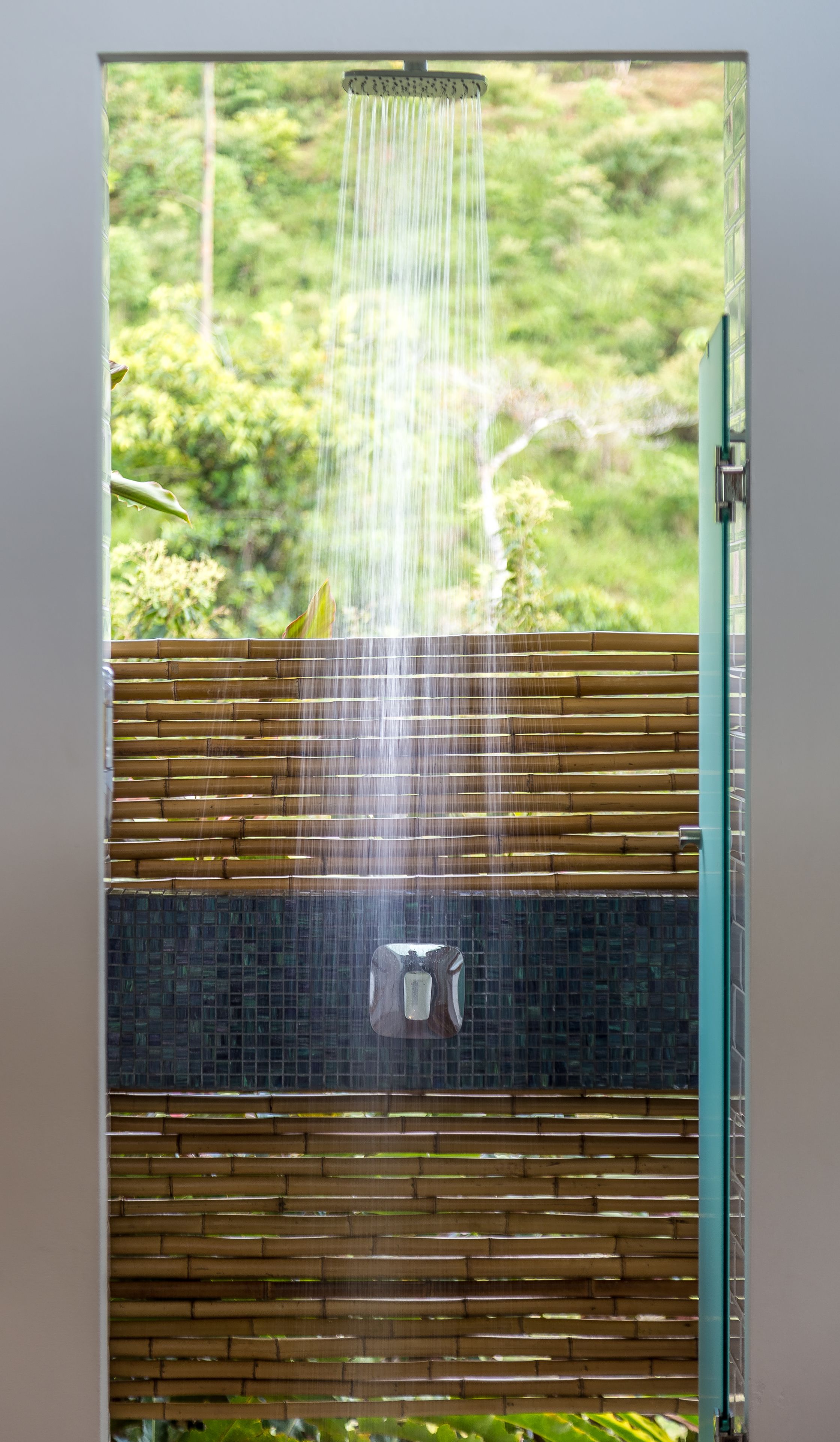 Un pommeau de douche d’où l’eau s’écoule dans un espace clos fait de bambou et de verre.