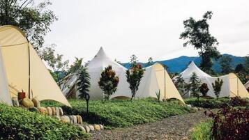 Signature Lotus Belle Tent Two Twin Beds | Premium bedding, down comforters, pillowtop beds, free WiFi