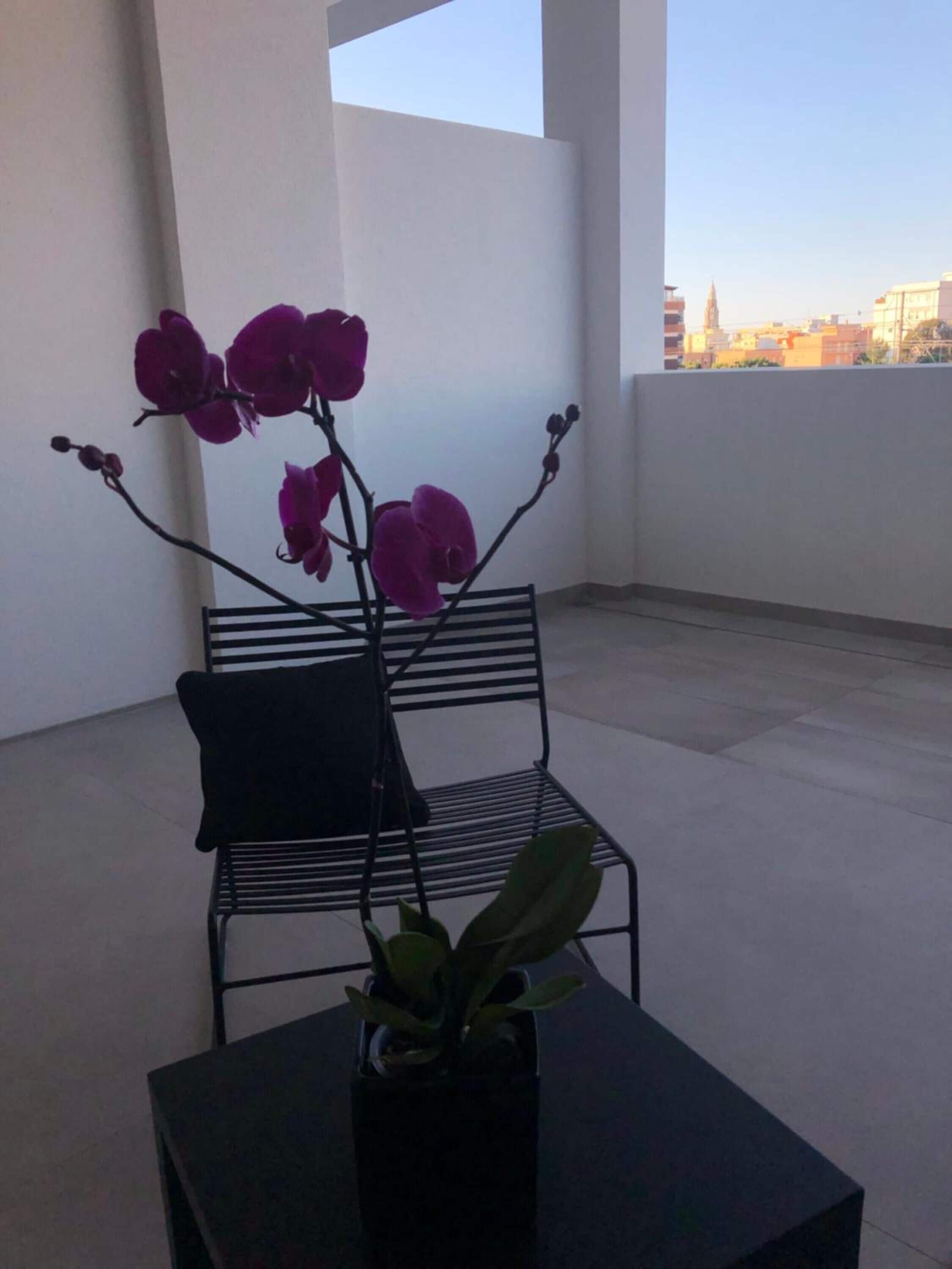 Photo - golden suites 50