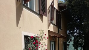 Un edificio con una planta grande en maceta y flores rojas, un camino de piedra y una puerta.