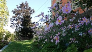 Una cesta de manzanas sobre una zona cubierta de césped, con un edificio y plantas en flor al fondo.