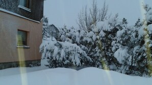 Un barrio residencial con árboles cubiertos de nieve y una casa.