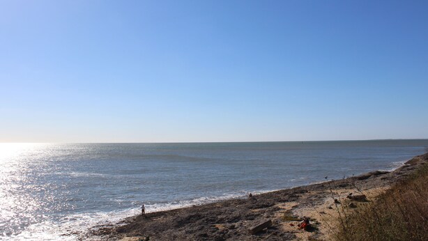 Een strand met een heldere lucht en rustige zee.