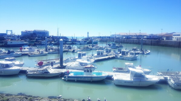 Marina