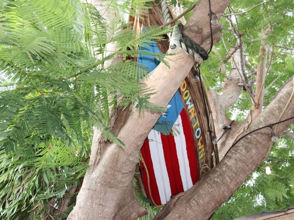 Un árbol con un objeto rojo y blanco a rayas, parcialmente cubierto por hojas.
