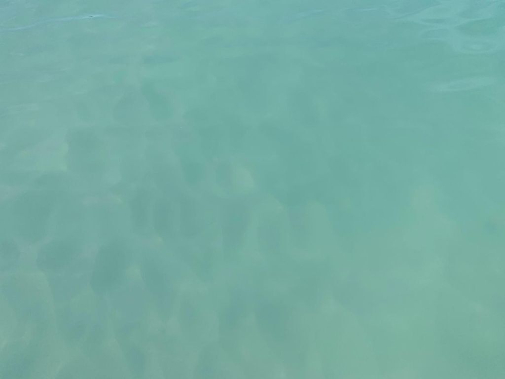 鸟瞰图