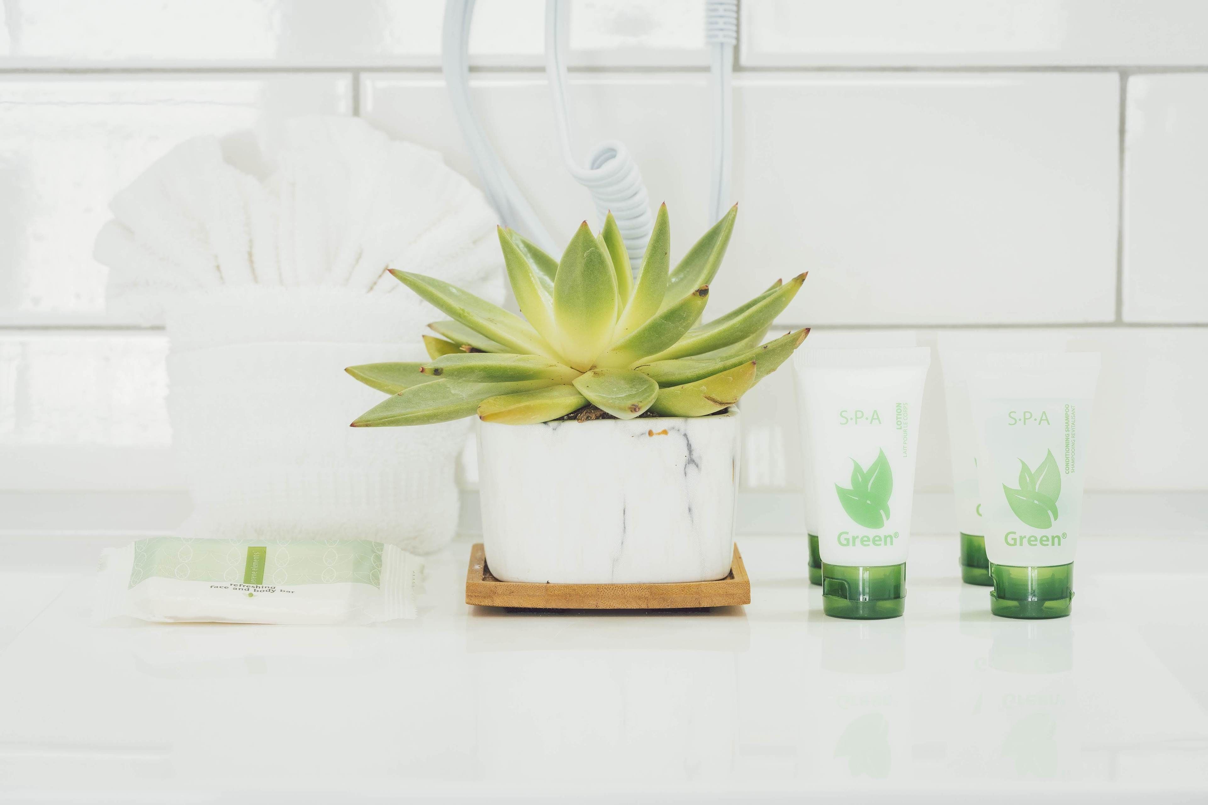 Une salle de bain avec un lavabo blanc, une plante succulente en pot et deux bouteilles vertes portant l’étiquette « S.P.A Green » sur un plan de travail blanc.