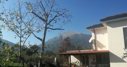 Villa with large garden