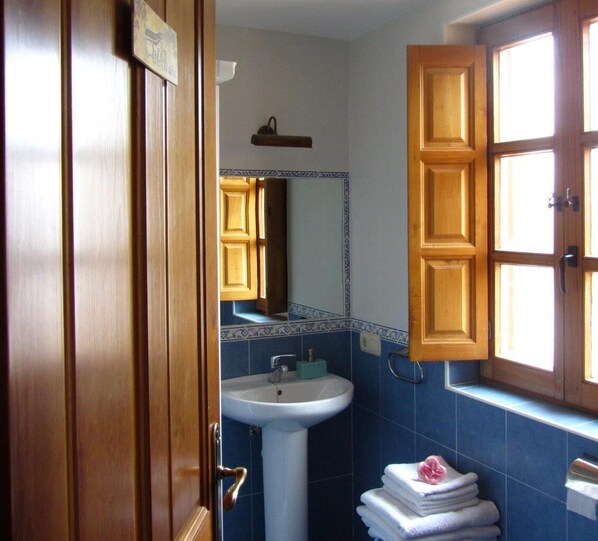 Secador de pelo, toallas, jabón y champú