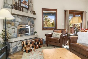 Televisión, chimenea y reproductor de DVD 