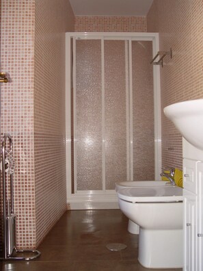 Regadera, secadora de cabello, bidet, toallas 