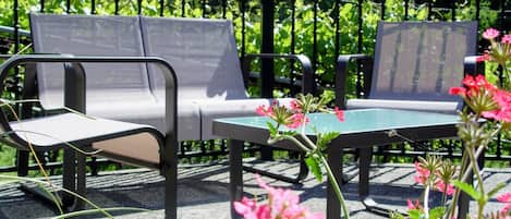 Terras