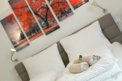 Apartment directly in the city center! Behind the Cathedral of Bolzano!