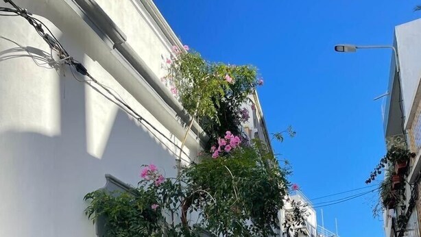 A narrow cobblestone street flanked by buildings with white and grey facades, some with balconies and flowering plants.