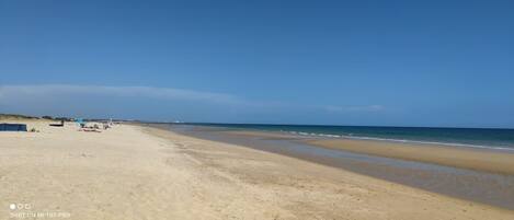 Plage à proximité, chaises longues, serviettes de plage