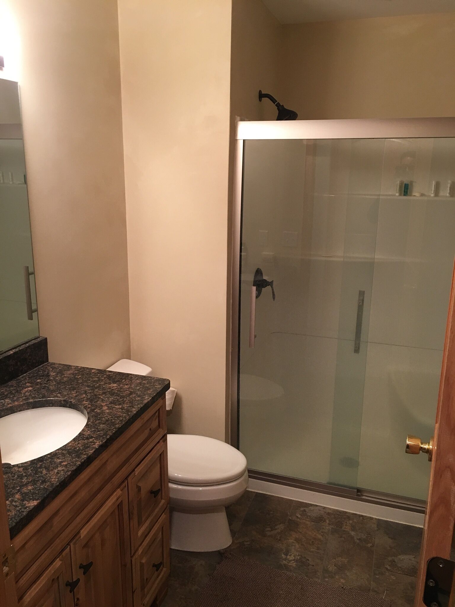 Une salle de bain avec un lavabo sur un plan de toilette en granit, des toilettes et une douche à parois de verre.