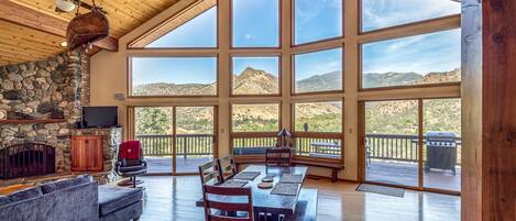 Flat-screen TV, fireplace, books