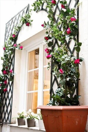 Exterior detail - Le Jardin Du Marais - Beaubourg (Paris)