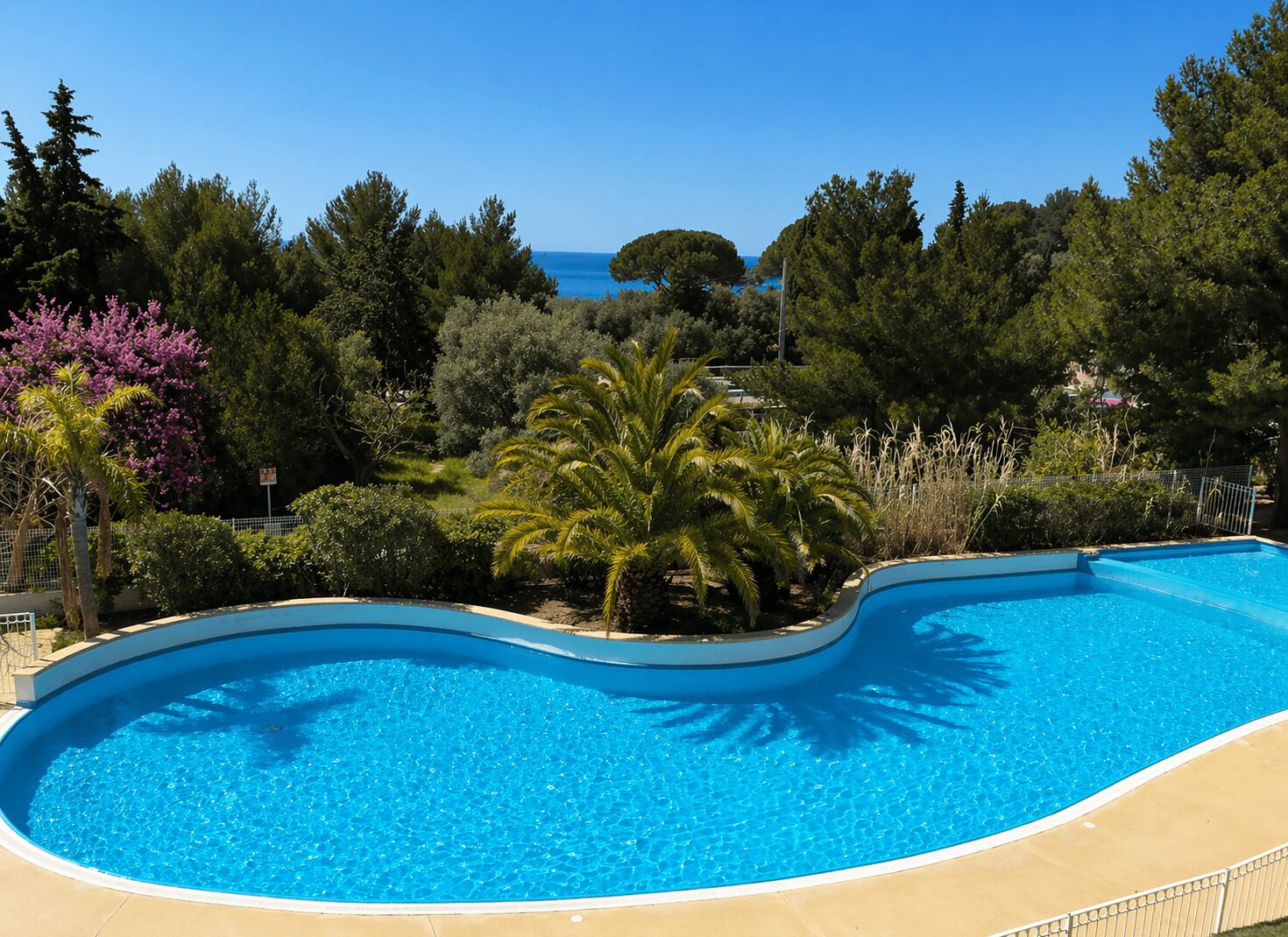 A curved swimming pool with clear blue water, surrounded by lush greenery and trees.