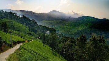 Vista aérea