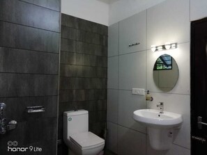 Shower, towels, toilet paper