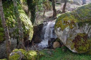 Property grounds - Casa da Janal for 4 people (Vimioso)