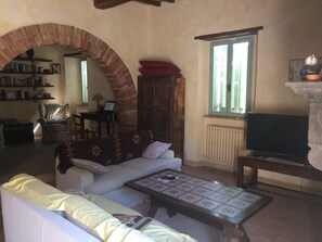 TV, fireplace, books