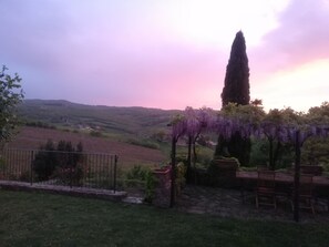 Outdoor dining - Country house among vineyards and olive groves (Todi)
