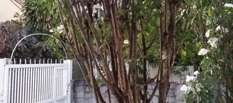 F3 hermosa para alquiler de temporada