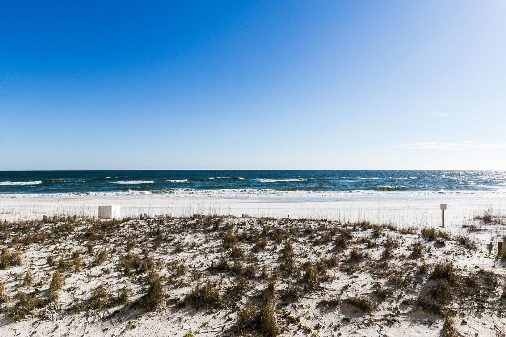Une plage de sable blanc, avec une végétation clairsemée et un ciel bleu dégagé.