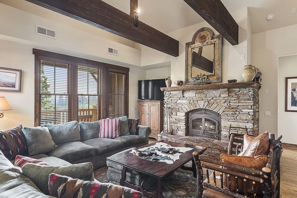 TV, fireplace, books