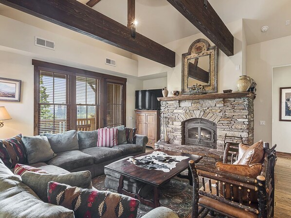 TV, fireplace, books