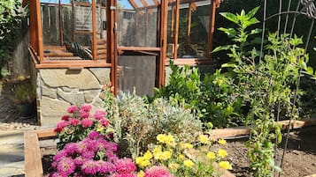外观细节