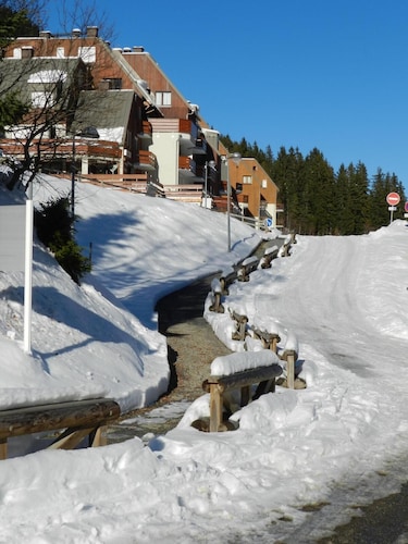 À 100m des pistes de ski, vue vallée/pistes de ski, balcon, parking, casier à ski, 18m², Les 7 Laux