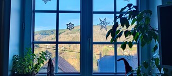 Cozy apartment with views of the mountains!