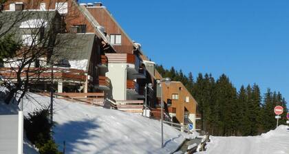 Ă 100m des pistes de ski, vue pistes de ski/vallĂ©e, balcon, parking, casier Ă ski, 30-32mÂČ