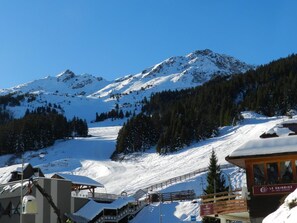Deportes de invierno y ski