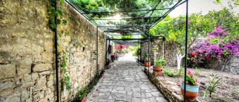 Terrein van de accommodatie