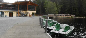 Nice holiday home "Aunt Emma" in Regen, Bavarian Forest, pets welcome