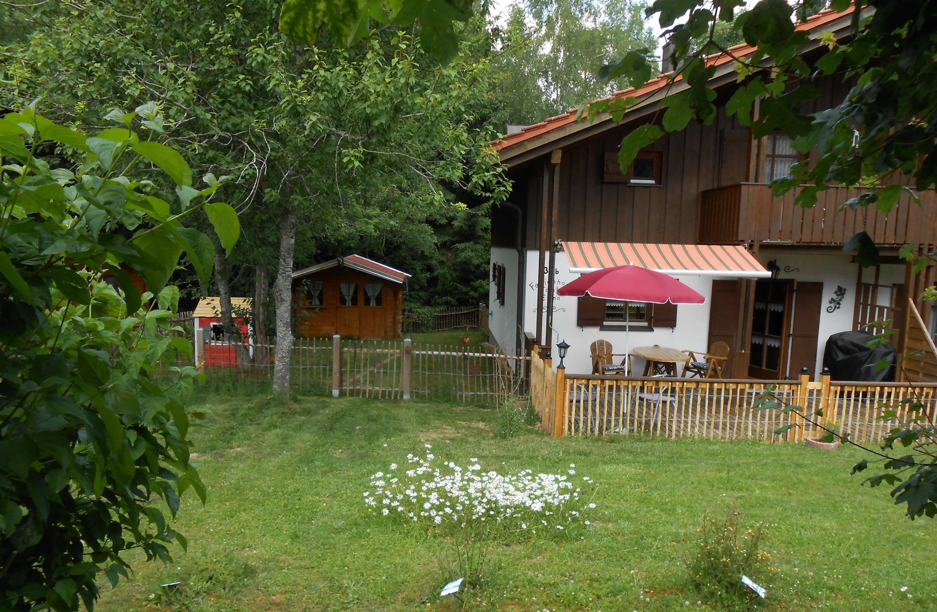 A wooden house with a red roof, a fenced yard, and a small garden with white flowers.