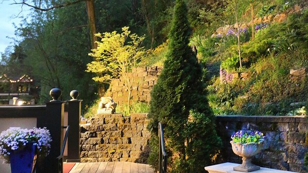 A garden with a stone wall, a wooden deck, and a variety of plants and trees.