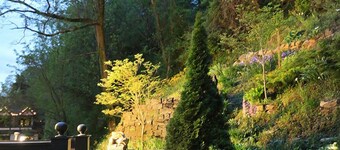 Downtown Asheville's Historic Biltmore Village; Griffin's Lair, shopping, walk.