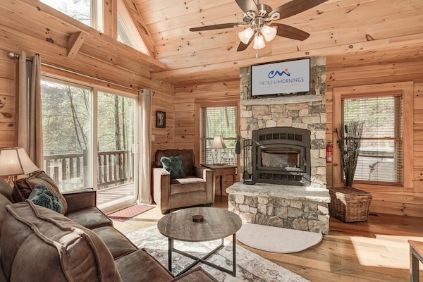 Téléviseur connecté, foyer, livres