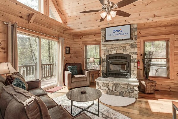 TV connectée, cheminée, livres